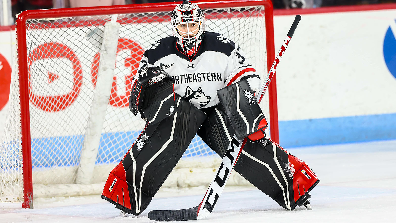 BAUER Sale Store -BAUER Sale Store goalie paths ncaa division i womens hockey
